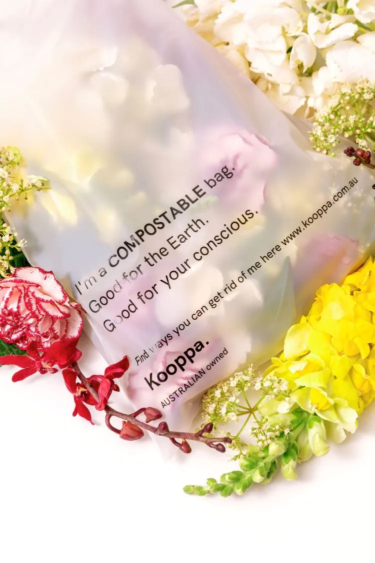 500 X Clear Biodegradable Medium Mailer 250X340mm Compostable Bag Satchels
