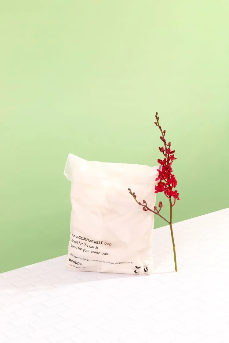 500 X Clear Biodegradable Medium Mailer 250X340mm Compostable Bag Satchels