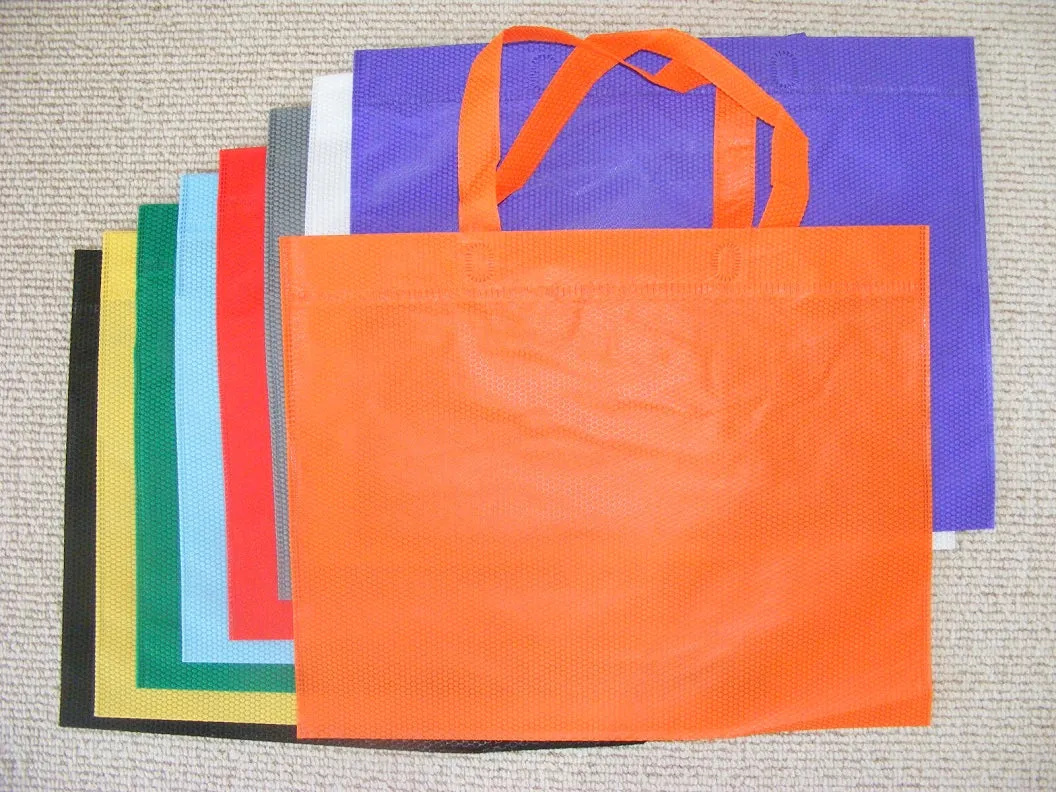 X 60060 ECO-FRIENDLY SHOPPING BAGS-DISCONTINUED