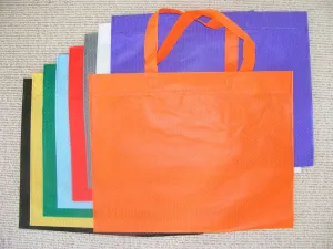 X 60060 ECO-FRIENDLY SHOPPING BAGS-DISCONTINUED